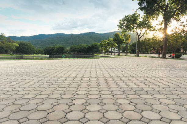 Best Custom Driveway Pavers  in South Run, VA